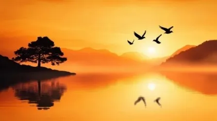 ALBA SUL LAGO |  Carta da parati paesaggio 3D alba - Col.649